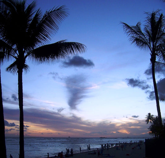 Five Things You Must Do Around Waikiki