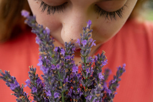 The Stories Our Homes Tell Through Scent