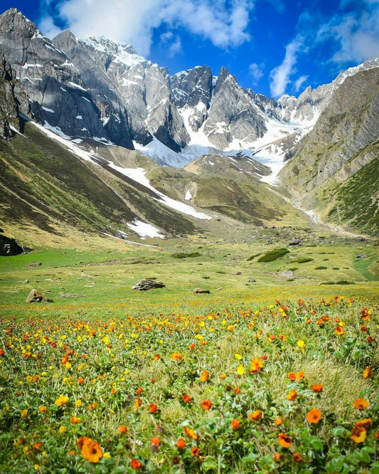 Valais Melts