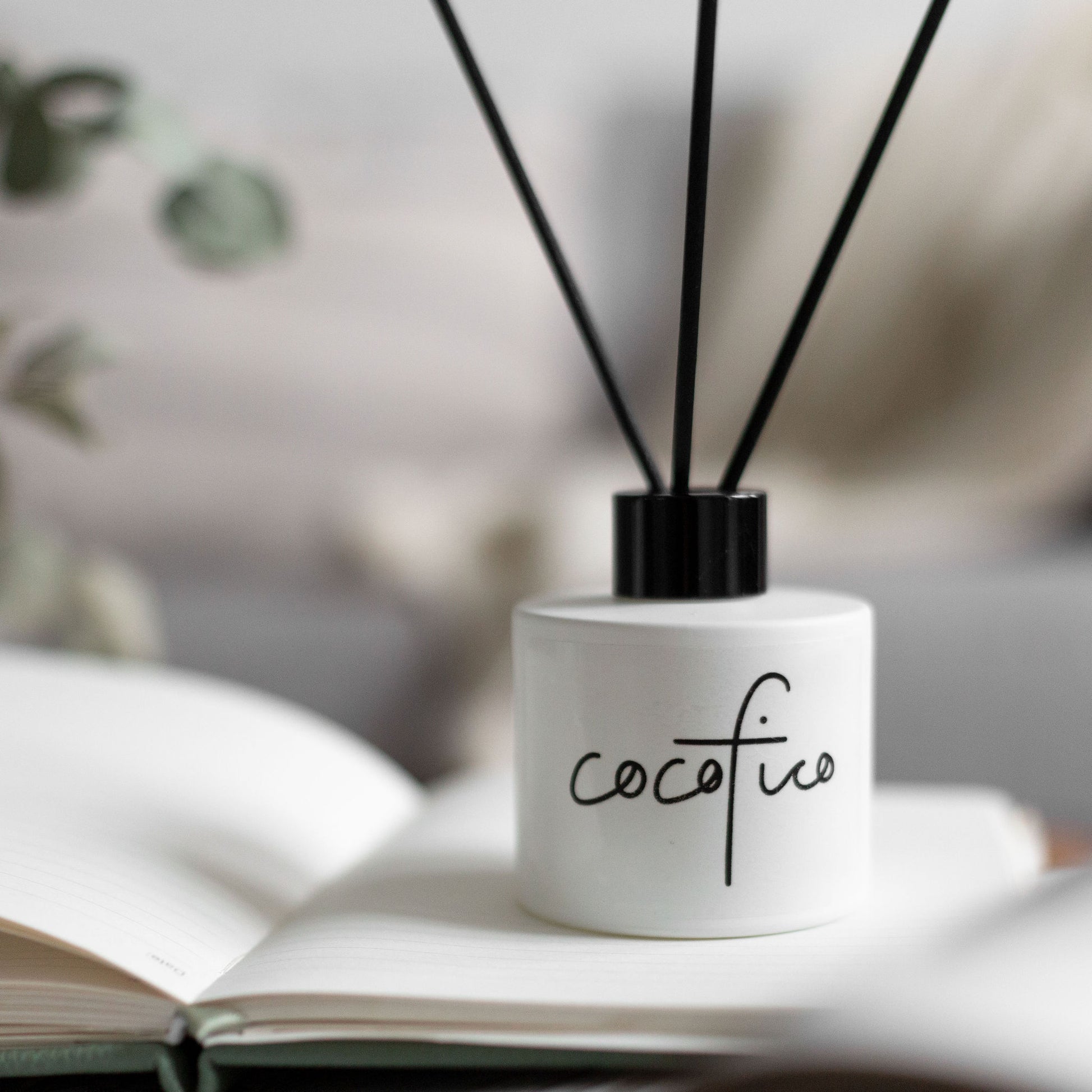 White diffuser vessel with black reeds