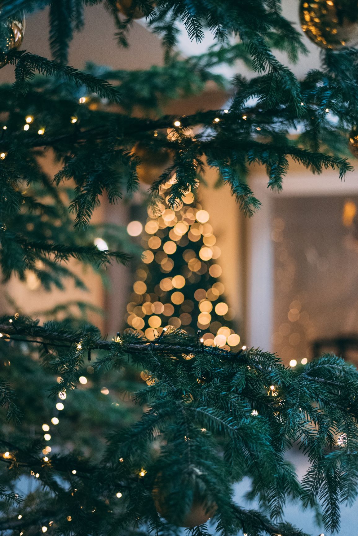 Christmas Tree Diffuser